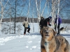 icebowldog.jpg